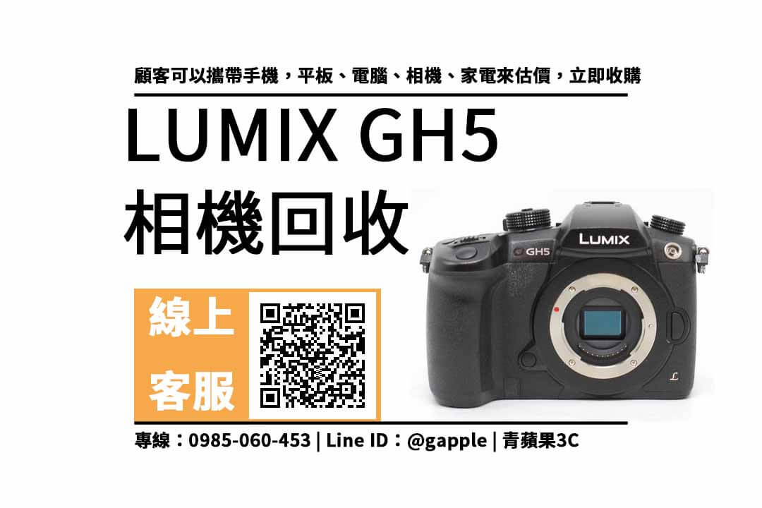 lumix gh5二手