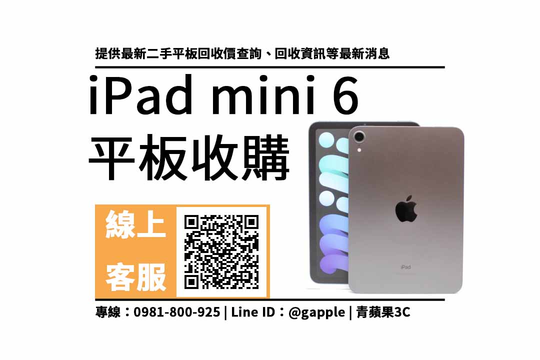 ipad mini 6二手