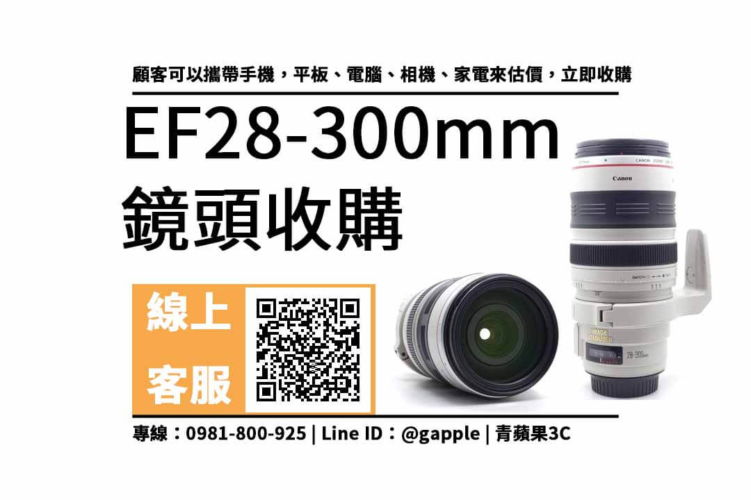 canon 28-300