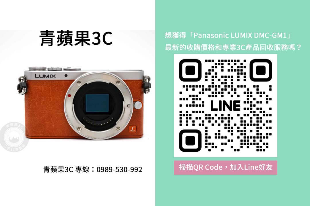 Panasonic LUMIX DMC GM1